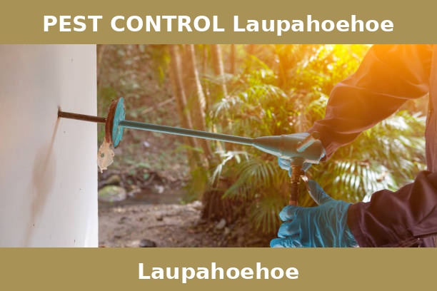 PEST CONTROL Laupahoehoe